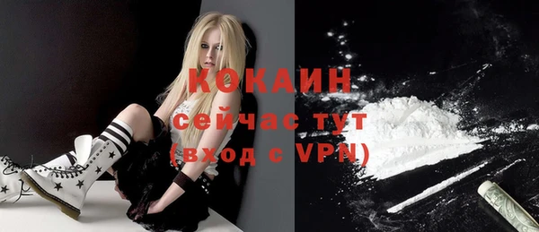 сатива Абинск
